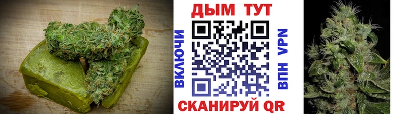 Canna-Cookies конопля  Ахтырский 
