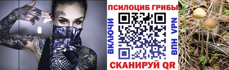 Псилоцибиновые грибы GOLDEN TEACHER  Ахтырский 