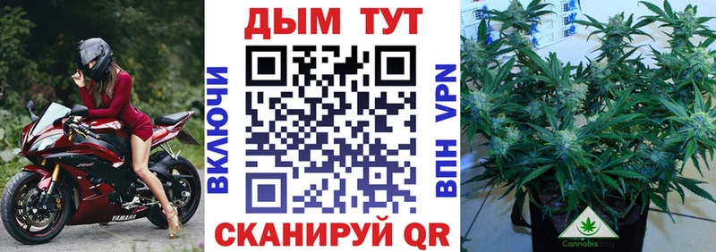 Марихуана марихуана  Ахтырский 